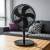 Wentylator Podłogowy stojący KLAUSBERG KB9041 z PILOTEM 40 cm LED 50W Timer