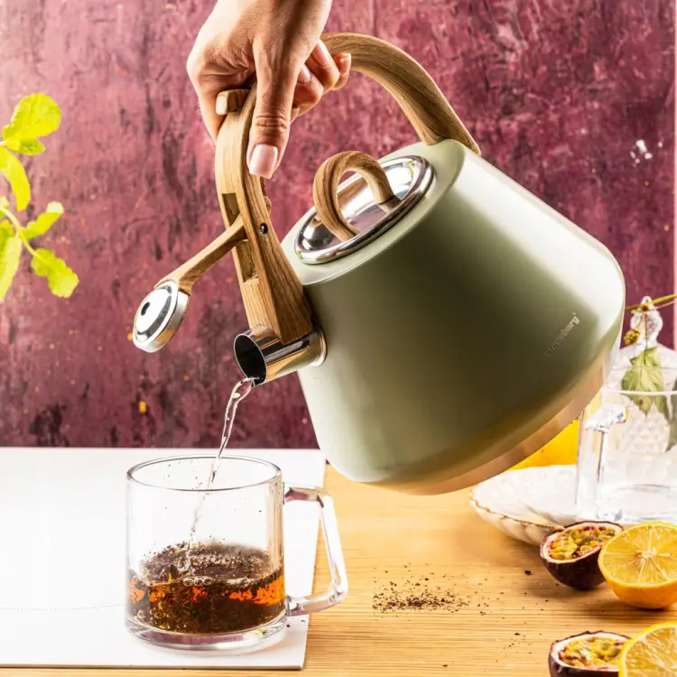 Czajnik z Gwizdkiem KLAUSBERG KB-9062 2,5L Zielony Indukcja Gaz